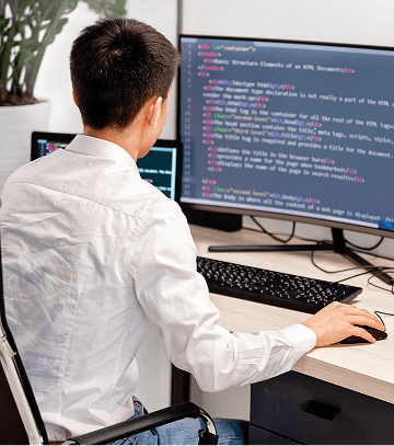 Hire Web Developer